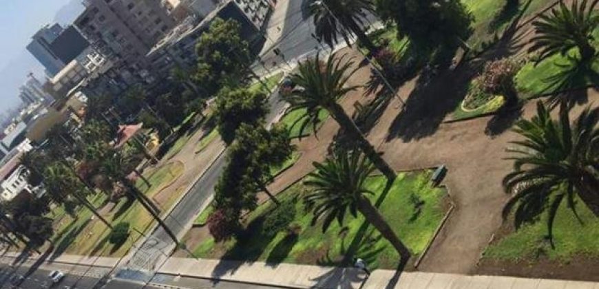 Departamento sector Parque Brasil – Antofagasta