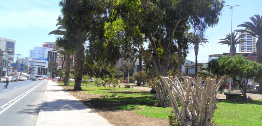 Departamento sector Parque Brasil – Antofagasta