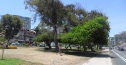 Departamento sector Parque Brasil – Antofagasta