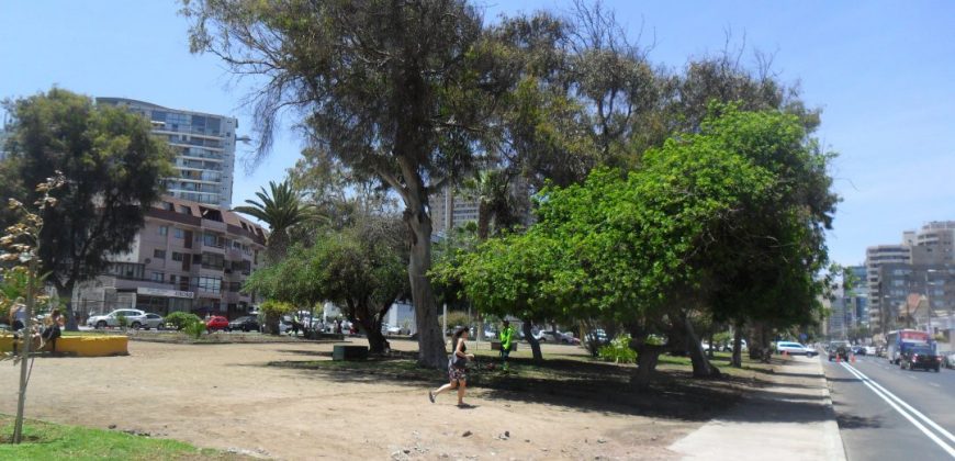 Departamento sector Parque Brasil – Antofagasta