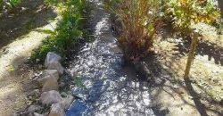 Terreno de 6.920 m2 con casa y orilla de río – Paihuano, valle de Elqui