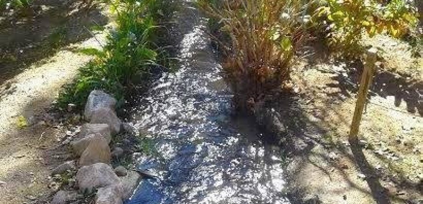 Terreno de 6.920 m2 con casa y orilla de río – Paihuano, valle de Elqui