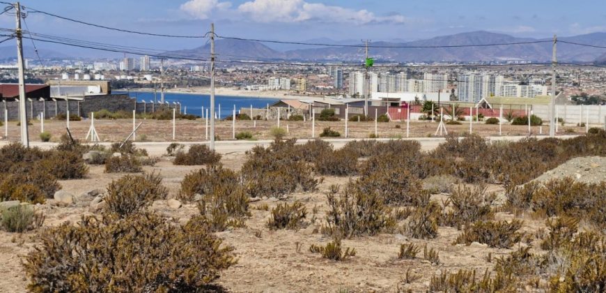 Terreno 3.627 m2 La Puntilla de La Herradura – Coquimbo