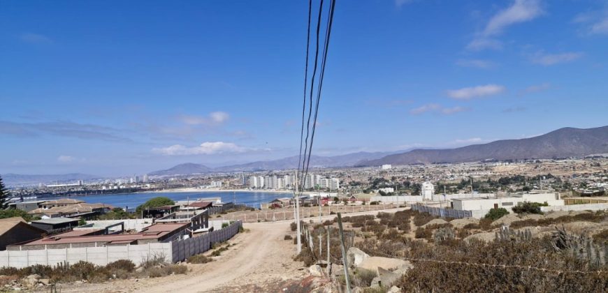 Terreno 3.627 m2 La Puntilla de La Herradura – Coquimbo