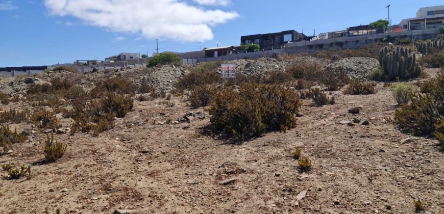 Terreno 3.627 m2 La Puntilla de La Herradura – Coquimbo