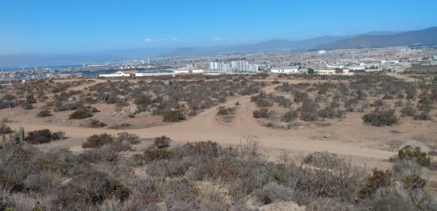 Terreno en La Herradura 9.000 m2, sector La Puntilla – Coquimbo