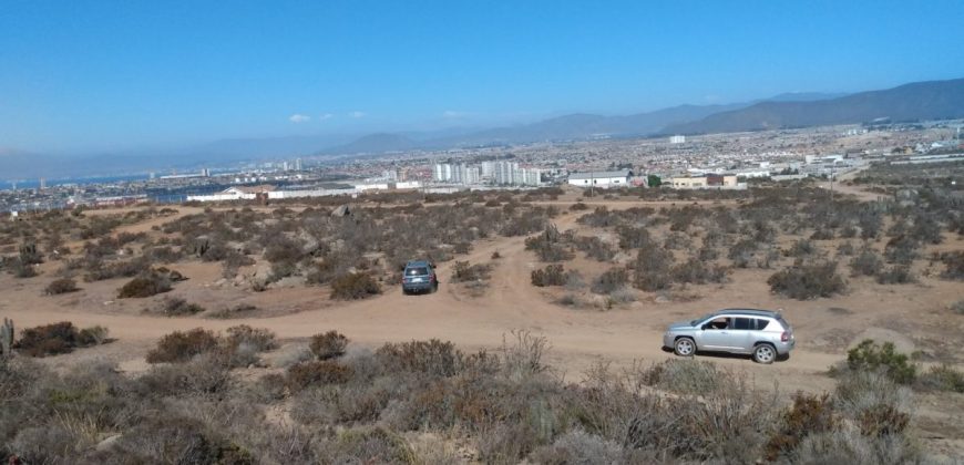 Terreno en La Herradura 9.000 m2, sector La Puntilla – Coquimbo
