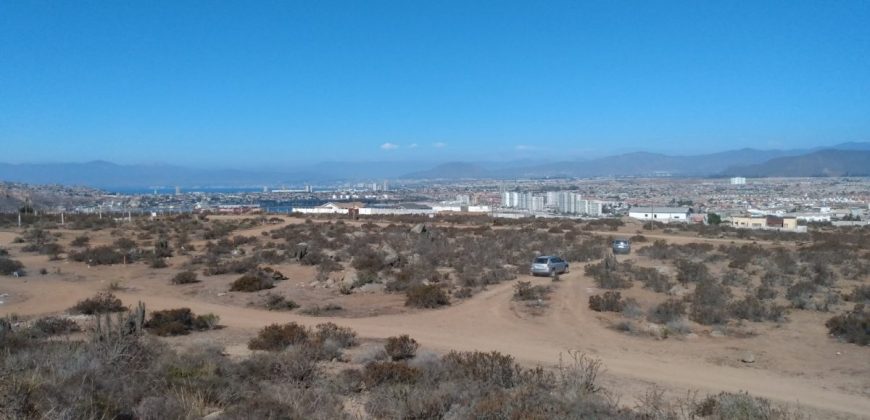 Terreno en La Herradura 9.000 m2, sector La Puntilla – Coquimbo