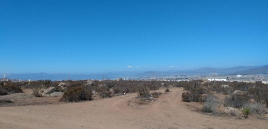 Terreno en La Herradura 9.000 m2, sector La Puntilla – Coquimbo