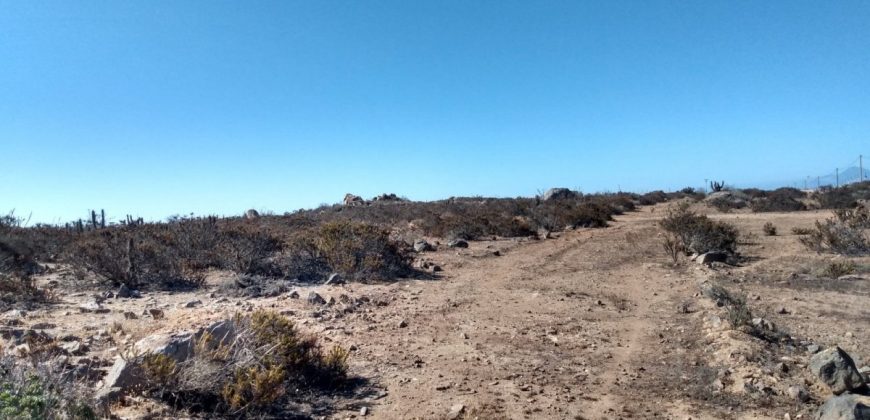 Terreno en La Herradura 9.000 m2, sector La Puntilla – Coquimbo