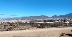 Terreno en La Herradura 9.000 m2, sector La Puntilla – Coquimbo