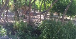 Terreno de 6.920 m2 con casa y orilla de río – Paihuano, valle de Elqui