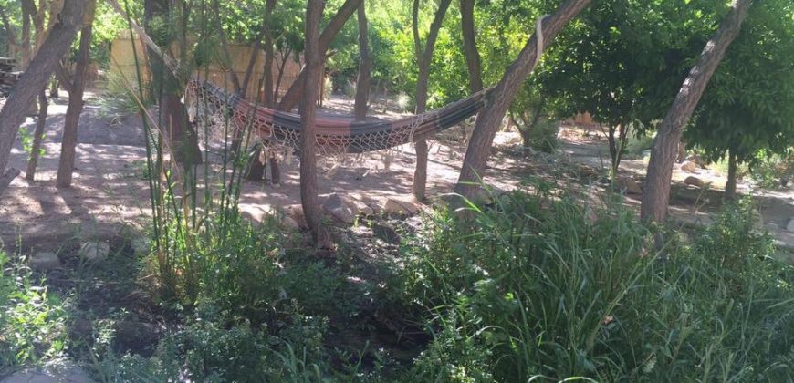 Terreno de 6.920 m2 con casa y orilla de río – Paihuano, valle de Elqui