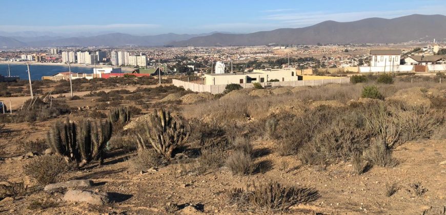Terreno 3.627 m2 La Puntilla de La Herradura – Coquimbo