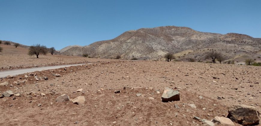 Terreno de 10.054 hectáreas, sector El Sauce – Río Hurtado, Región de Coquimbo