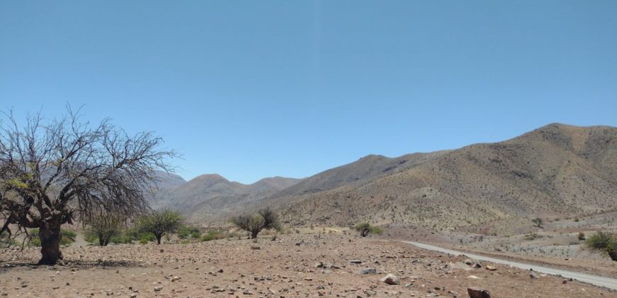 Terreno de 10.054 hectáreas, sector El Sauce – Río Hurtado, Región de Coquimbo