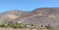 Terreno de 10.054 hectáreas, sector El Sauce – Río Hurtado, Región de Coquimbo