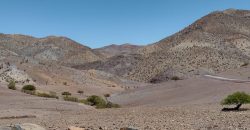 Terreno de 10.054 hectáreas, sector El Sauce – Río Hurtado, Región de Coquimbo