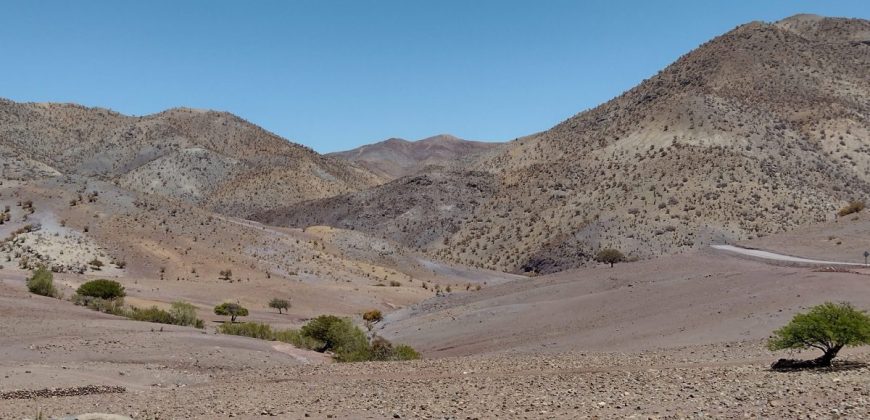Terreno de 10.054 hectáreas, sector El Sauce – Río Hurtado, Región de Coquimbo