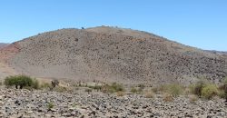 Terreno de 10.054 hectáreas, sector El Sauce – Río Hurtado, Región de Coquimbo