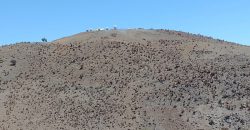 Terreno de 10.054 hectáreas, sector El Sauce – Río Hurtado, Región de Coquimbo