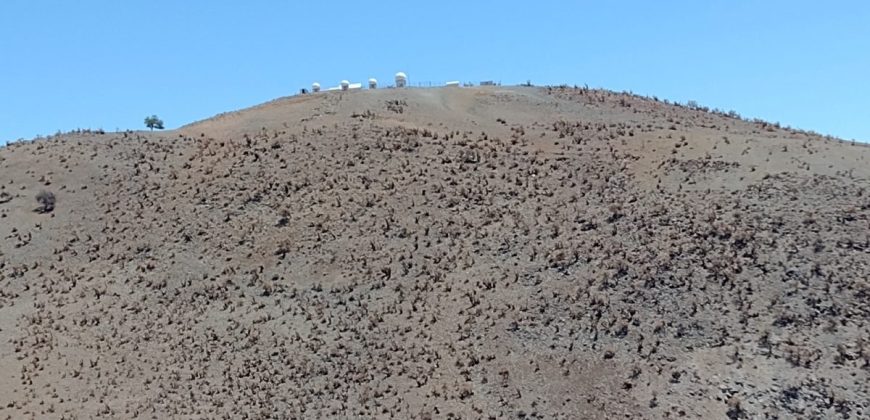 Terreno de 10.054 hectáreas, sector El Sauce – Río Hurtado, Región de Coquimbo