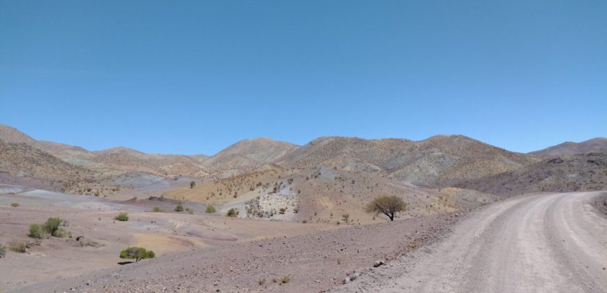 Terreno de 10.054 hectáreas, sector El Sauce – Río Hurtado, Región de Coquimbo