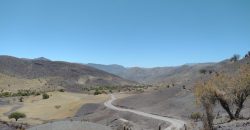 Terreno de 10.054 hectáreas, sector El Sauce – Río Hurtado, Región de Coquimbo