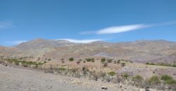 Terreno de 10.054 hectáreas, sector El Sauce – Río Hurtado, Región de Coquimbo