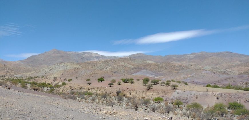 Terreno de 10.054 hectáreas, sector El Sauce – Río Hurtado, Región de Coquimbo