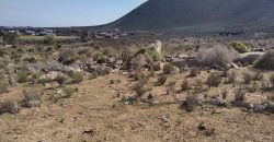 Terreno ubicado en el sector de Totoralillo, Coquimbo