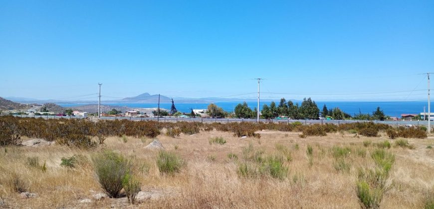 Terreno 5.385 m2 en Totoralillo, Coquimbo