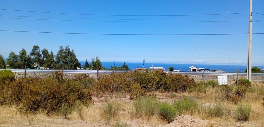Terreno 5.385 m2 en Totoralillo, Coquimbo