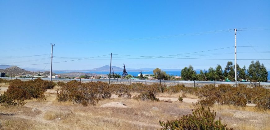 Terreno 5.385 m2 en Totoralillo, Coquimbo