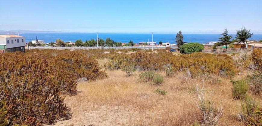 Terreno 5.385 m2 en Totoralillo, Coquimbo