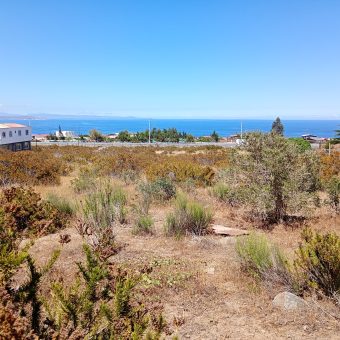 Terreno 5.385 m2 en Totoralillo, Coquimbo