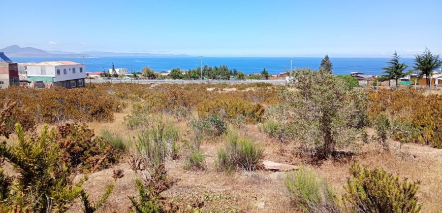 Terreno 5.385 m2 en Totoralillo, Coquimbo