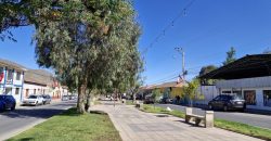 Terreno de 1.650 m² en Avenida Las Delicias – Vicuña, Valle de Elqui