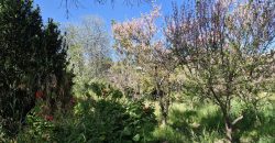 Terreno de 1.650 m² en Avenida Las Delicias – Vicuña, Valle de Elqui