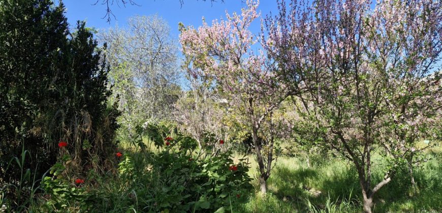 Terreno de 1.650 m² en Avenida Las Delicias – Vicuña, Valle de Elqui