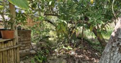 Terreno de 1.650 m² en Avenida Las Delicias – Vicuña, Valle de Elqui