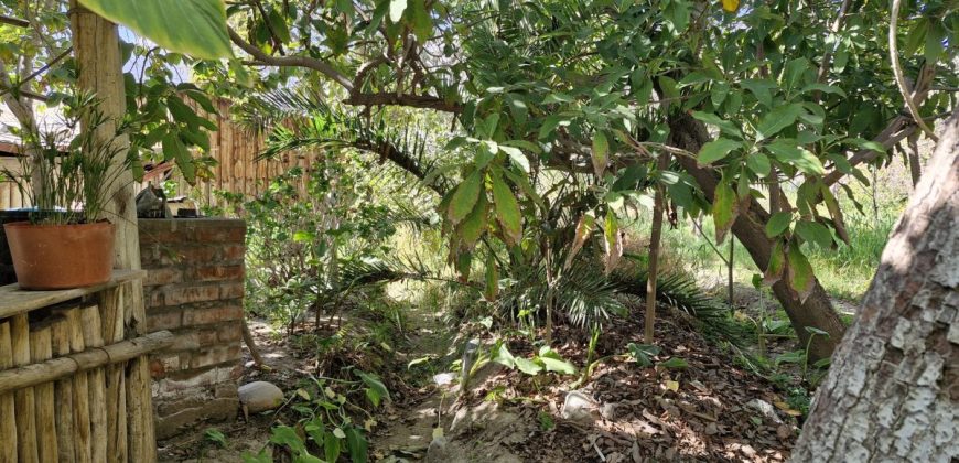 Terreno de 1.650 m² en Avenida Las Delicias – Vicuña, Valle de Elqui