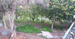 Terreno de 1.650 m² en Avenida Las Delicias – Vicuña, Valle de Elqui