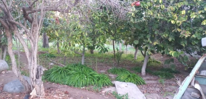 Terreno de 1.650 m² en Avenida Las Delicias – Vicuña, Valle de Elqui