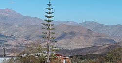 Parcela 5.030 m2 en La Totorita Vicuña, Valle de Elqui