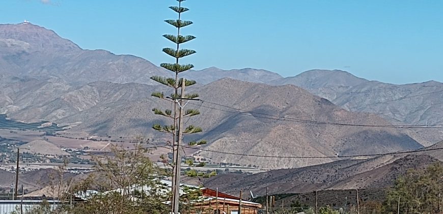 Parcela 5.030 m2 en La Totorita Vicuña, Valle de Elqui