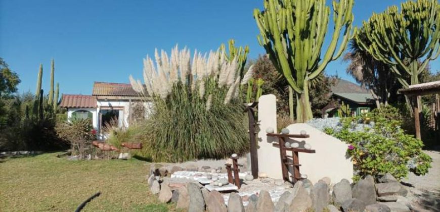 Parcela de 5.000 m2 en primera línea, camino al Valle de Elqui