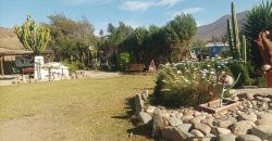 Parcela de 5.000 m2 en primera línea, camino al Valle de Elqui