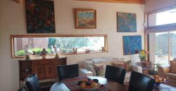 Parcela de 5.000 m2 en primera línea, camino al Valle de Elqui