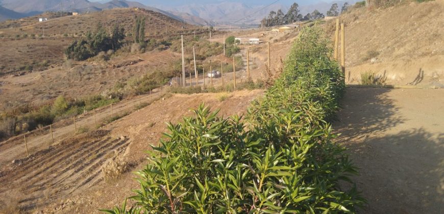 Lote de 6.831 m2 en Lomas del Hinojal con agua potabilizada – Vicuña